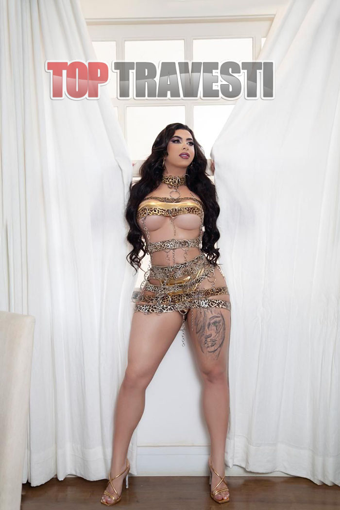 Acompanhante Top Travesti